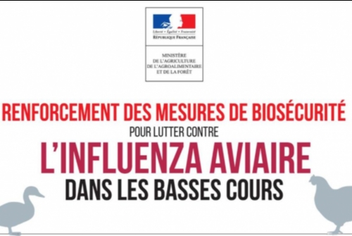 lutte contre l influenza aviaire lutte contre l influenza aviaire