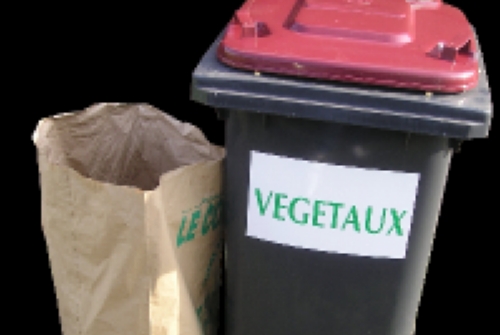 Ramassage des végétaux Ramassage des végétaux